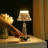 Faycal Acrylic Desk Lamp