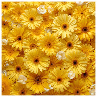 Yellow Gerbera Daisies Double Sided Throw Pillows