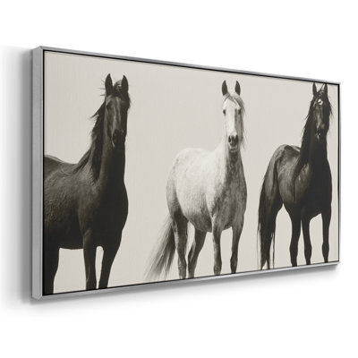 Wild Stallions- Framed Gallery Wrapped Canvas -Ready to Hang