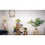 Support pour plante Ballsallagh