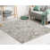 Chardarius 1240 Transitional Marbled Gray Area Rug