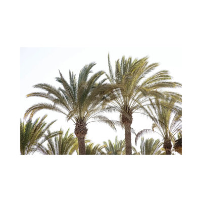 Oriental Palm Trees by Anita's & Bella's Art - Gallery-Wrapped Canvas Giclée on Canvas