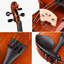 Ensemble de 2 plaques de violon acoustique Eduardt-280090358
