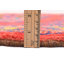 Tapis rouge Coral
