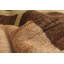 Tapis de la zone en laine beige/brune 3 pi 1 po x 5 pi 7 po one-of-kind-noué la 2010 Adwitiya
