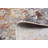 Camellia Multi Color Rug 5'0" x 5'0"