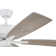 Pro Plus 101 Clear Bowl Light Kit 52'' Ceiling Fan with Light Kit