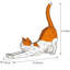 DIY Origami Stretched Cat Paper Model