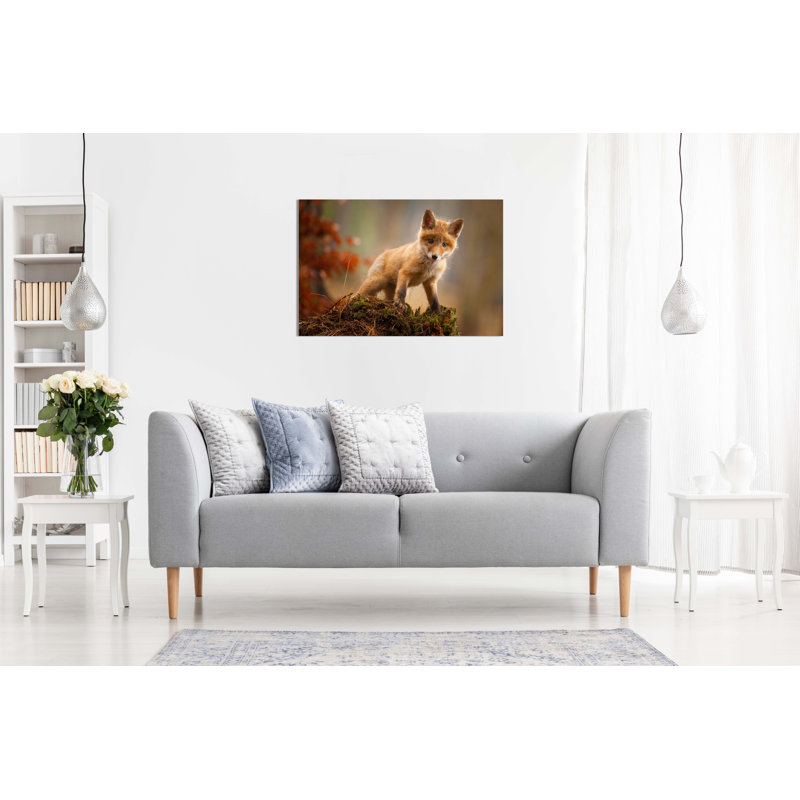 Curious Red Baby Fox - Wrapped Canvas Print, 31cm H x 46cm W