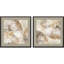 Medallions S/2