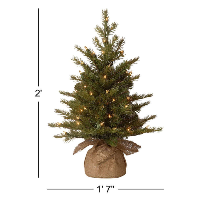 The Holiday Aisle® Nordic Spruce Tree with Clear Lights, 2'