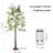 71" Lighted Olive Tree Floor Lamp, 6 Ft. Artificial Tree Lamp