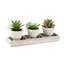 Plante artificielle