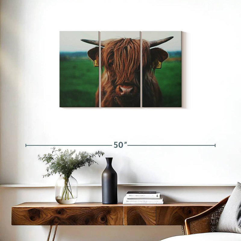 Highland Cow Close Up, 20" H x 33" W
