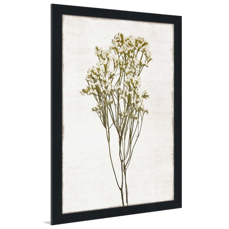«Farmhouse Pressed Flower II» par Natalie Carpentieri - Peinture, L 27,5 po x H 39,5 po, Cadre noir