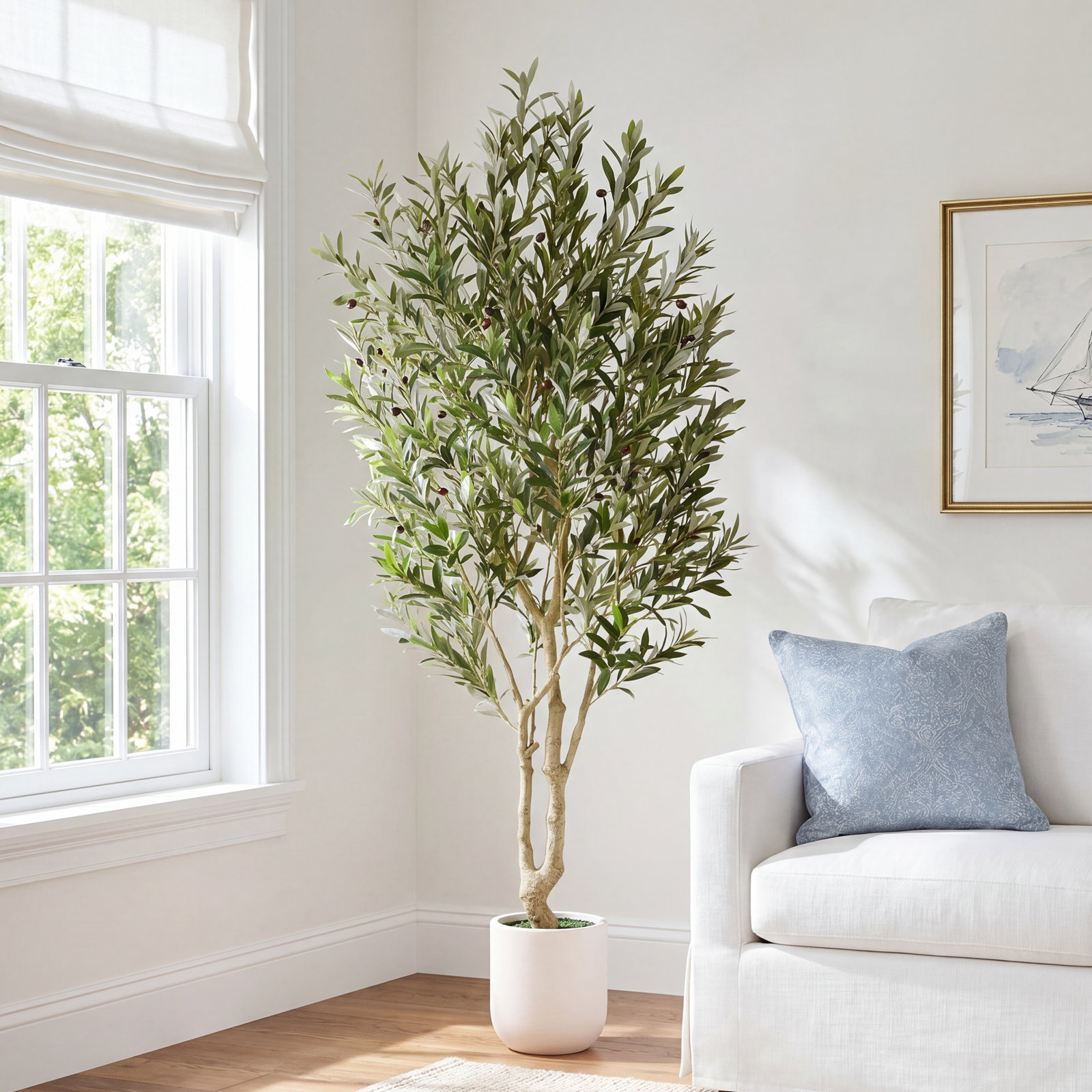 Ashwell Olive Tree in Pot, 84" x 11"