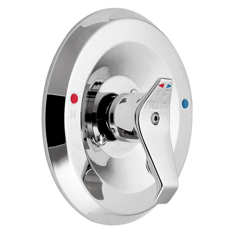 Commercial Moentrol Faucet Trim with Lever Handle