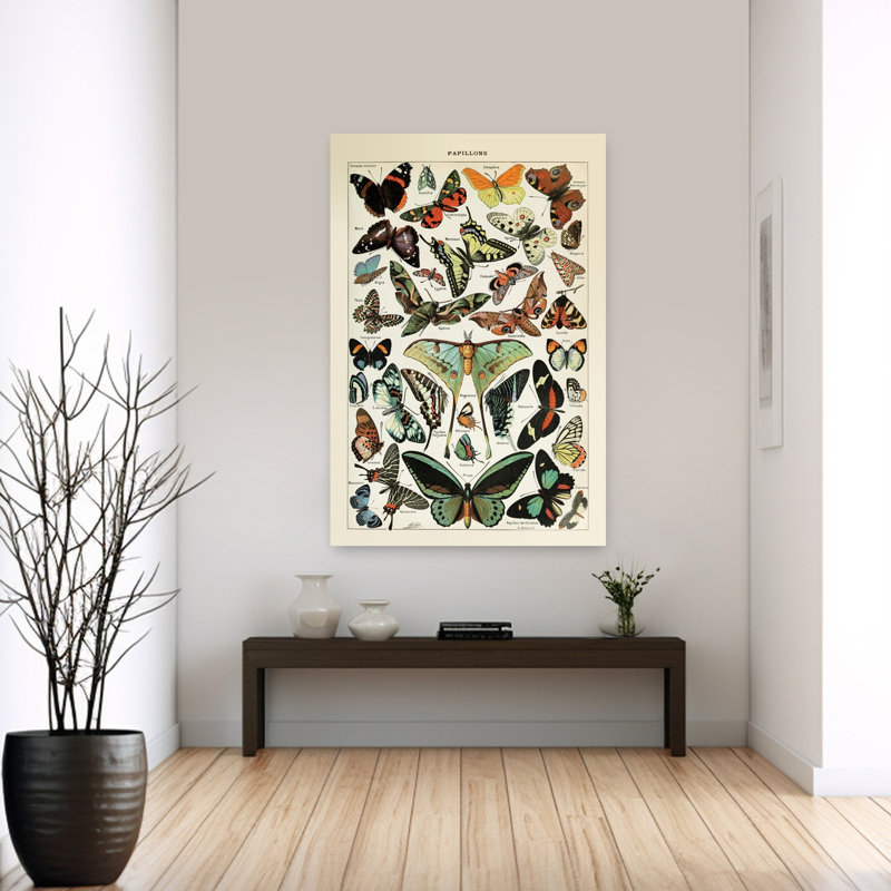 Papillons 1 papillon, art de la nature, H 60 po x l 40 po