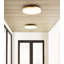 Wyatt Large Flush Mount