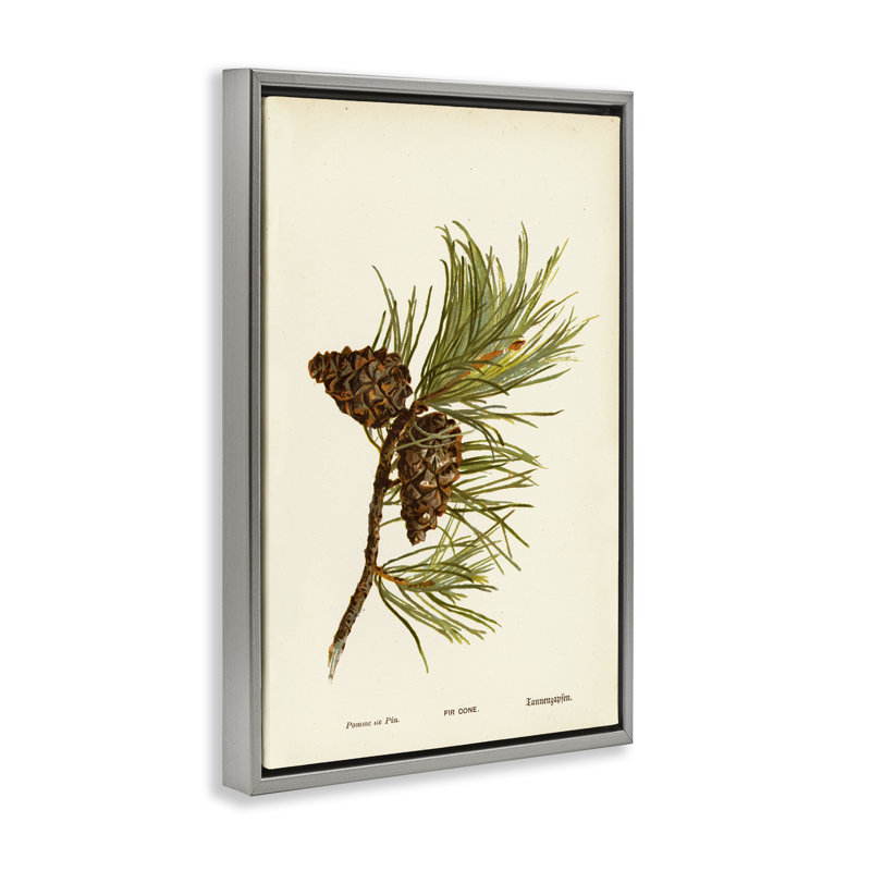  Toile conique de sapin par Tina Higgins Designs, Inc., H 25 po x l 17 po, Cadre flottant gris lustré