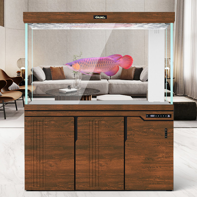 Aquarium moderne 140-150 gallons en bois massif Eco, Brun noisette