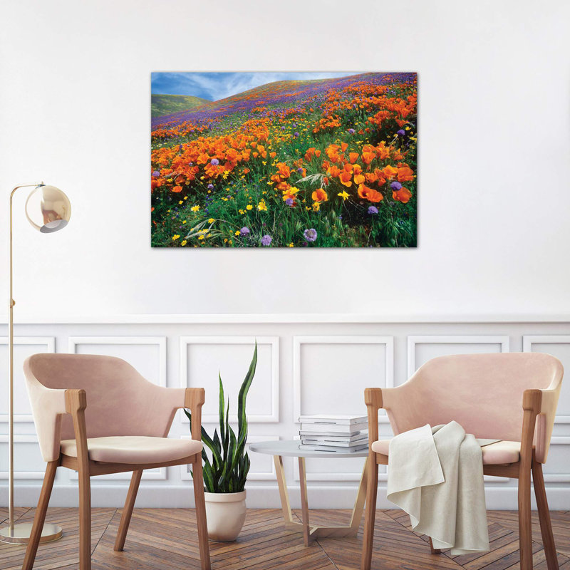 California Poppy And Other Wildflowers Growing On Hillside, Spring, Antelope Valley, California by Tim Fitzharris - Wrapped Canvas Print