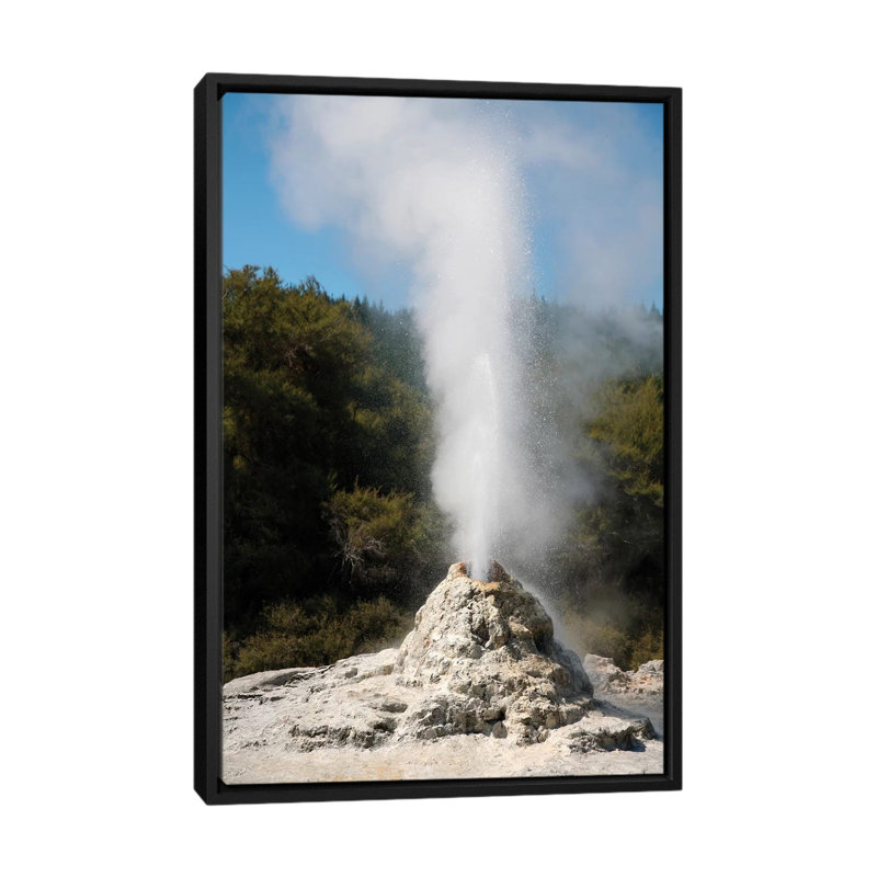" Lady Knox Geyser Erupting, Wai-O-Tapu Geothermal Area, Taupo Volcanic Zone, New Zealand " by Richard Roscoe, No Mat