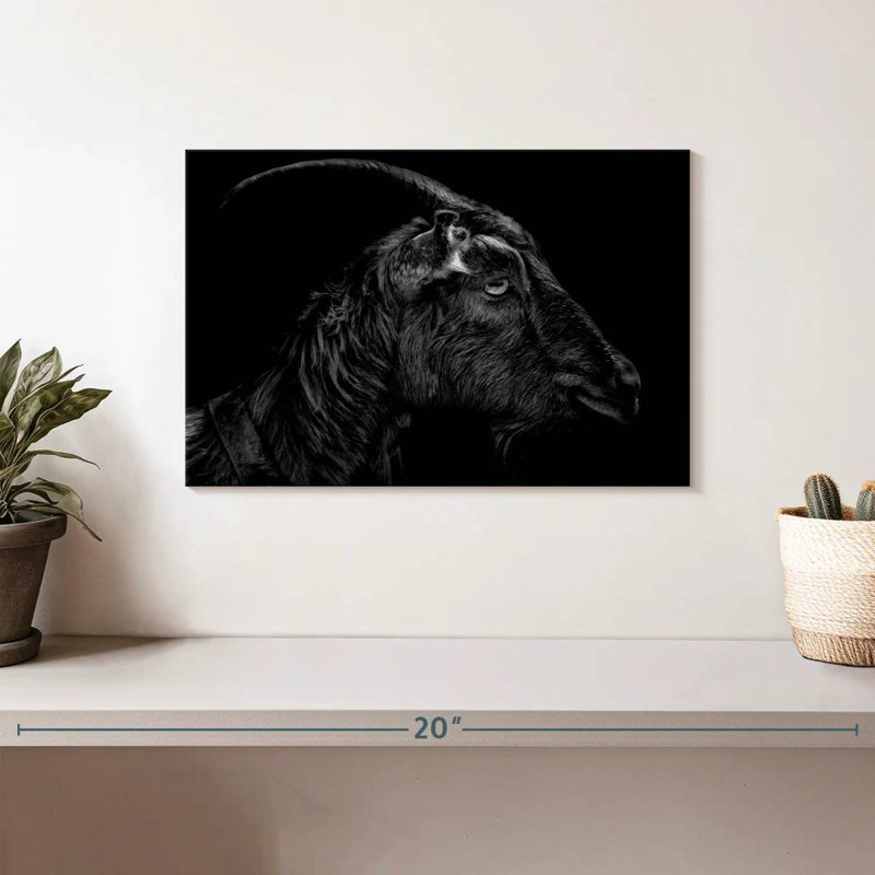 Monochrome Horned Goat, 8" H x 12" W