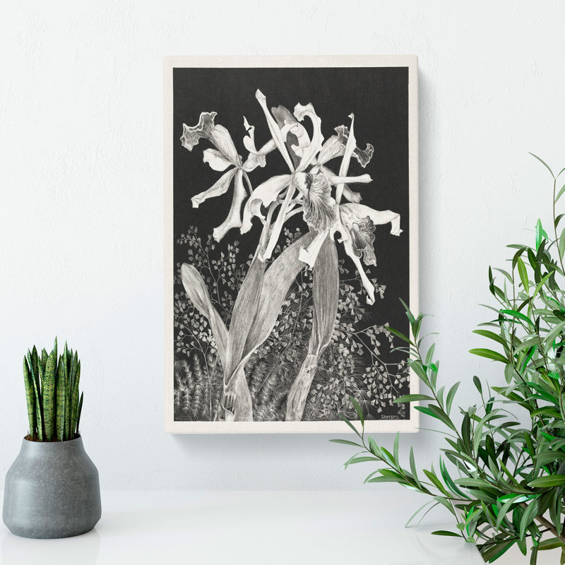 Orchids by Theo Van Hoytema - Wrapped Canvas, 50cm H x 35cm W x 3cm D