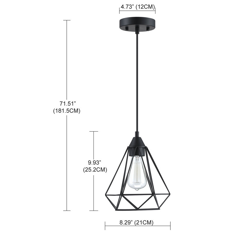 1-Light Pendant With Black Finish And Steel Cage Shade