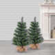 Unlit Hard Needle Pine With 76 Tips