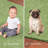 Modern Plush Pet and Kids Friendly Solid Color Lime Green Area Rugs, Stain & Fade Resistance, Perfect for Living Room, Dining Room, Bedroom, Playroom and Kidsroom, Event, Wedding, Amberleigh Binded Rug-819647999
