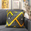 Square Pillow Cover & Insert