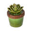 Figurine en céramique Echeveria-1695784437