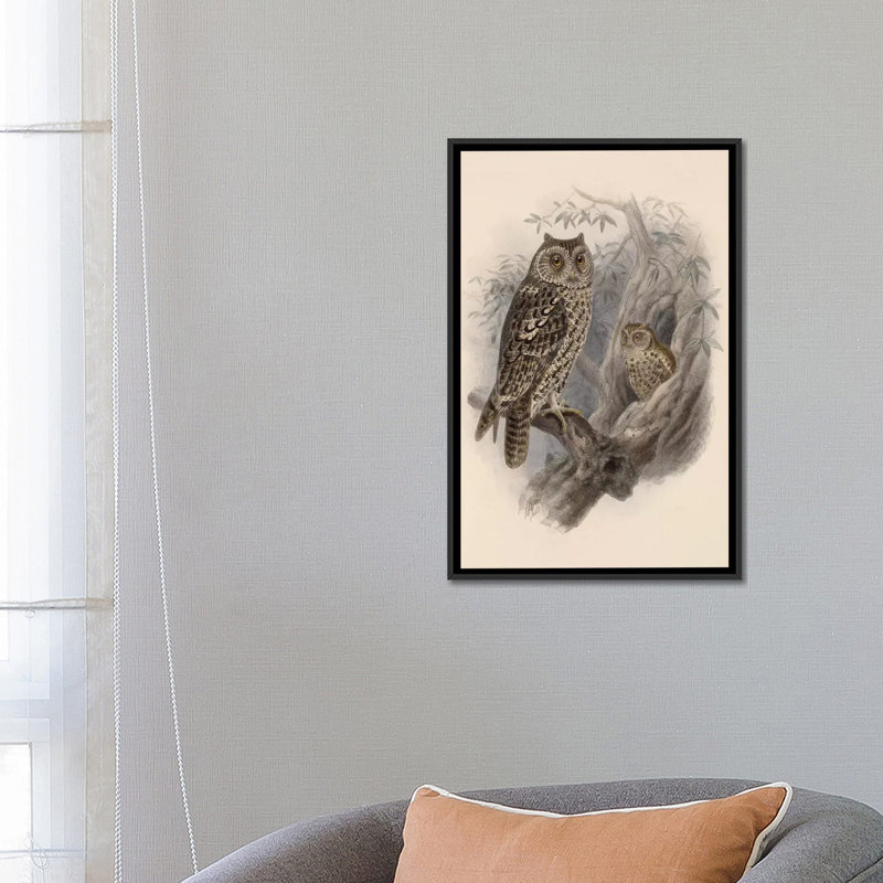 " Tree Owls, 1902 " by Vintage Apple Collection, 26" H x 18" W x 1.5" D, Black Framed Canvas, No Mat