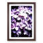 Lilac Hydrangeas - Picture Frame Painting Print-55582573-55582575