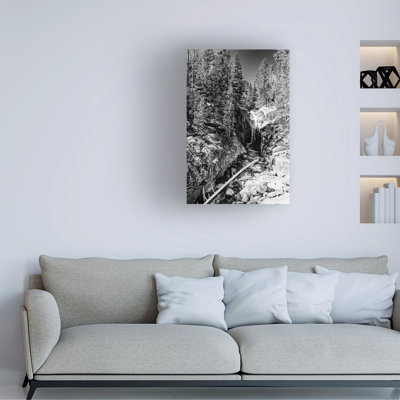 Bolog Kent Flora Chasm Falls Canvas Art