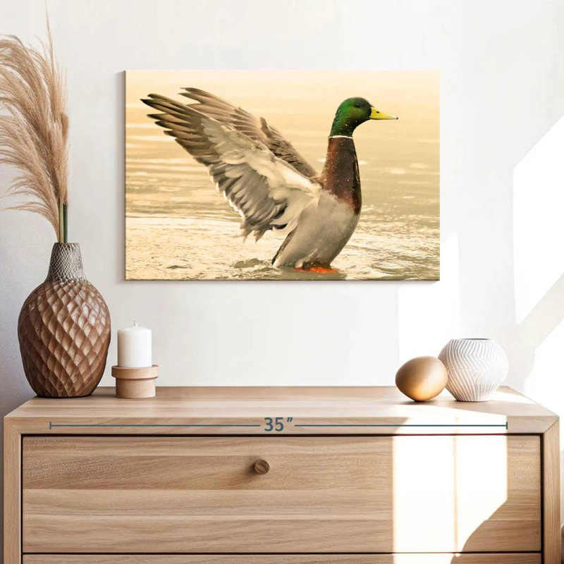 Canard colvert majestueux Brampt, H 16 po x l 24 po