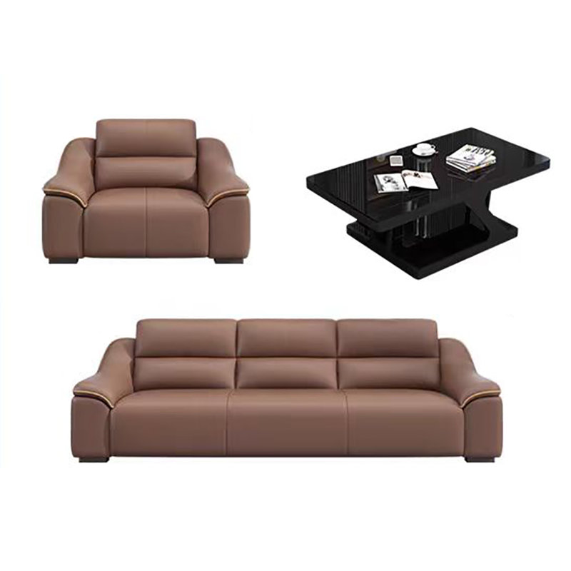 Simple elegant comfortable sofa set