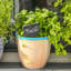 Nicola Spring - Hand-Printed Plant Pots - Orange - Set of 6
