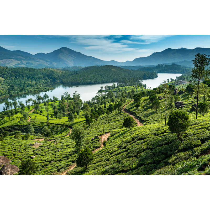 Hills , Lake And Tee Plantations In Kerala - Wrapped Canvas Print, 20cm H x 30cm W x 3.8cm D