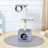 Niantic 41.53'' H Cat Tree