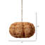 Clamshell 4 - Light Chandelier-905482397
