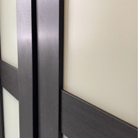 Euro 3-Lite Design Pivot Door - Renin