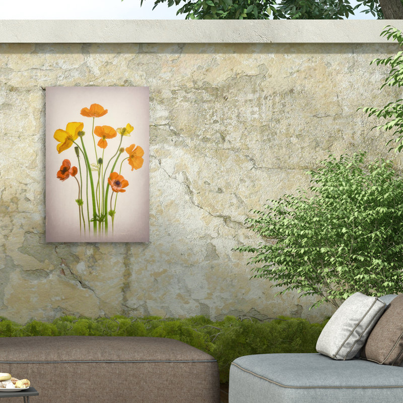 Coquelicots bolognais sur impression sur toile, H 24 po x l 16 po