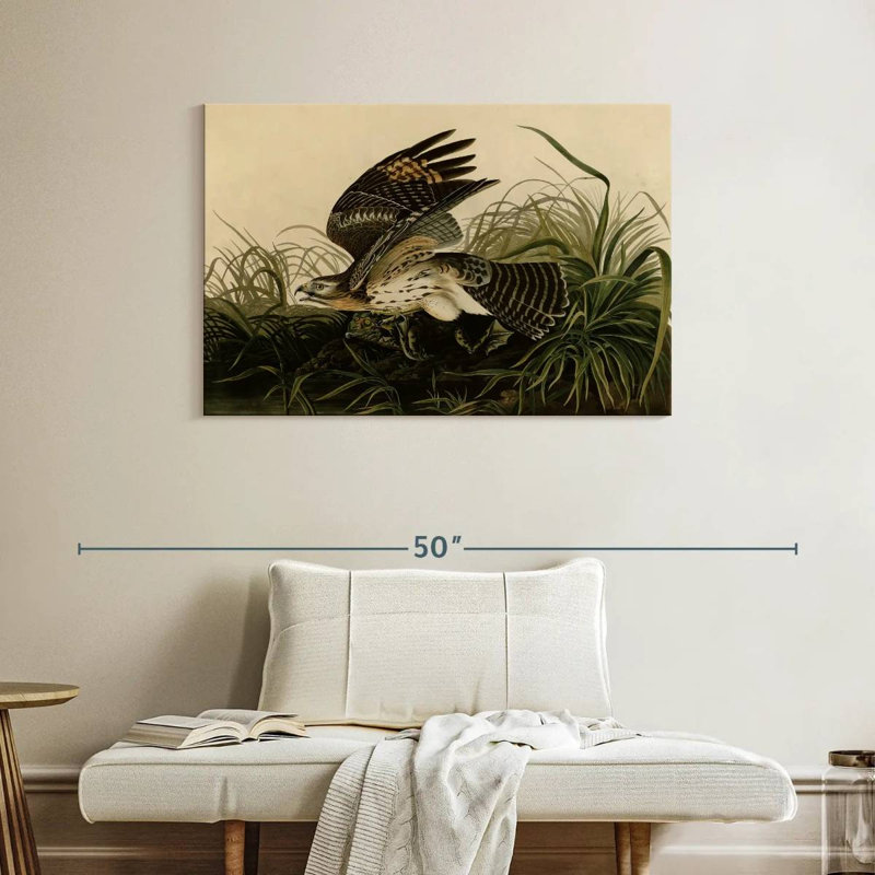 Brampt Winter Hawk, 26" H x 39" W