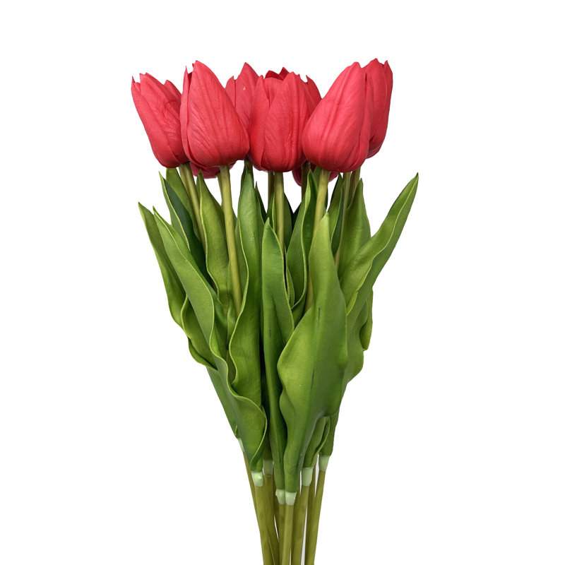 Tiges de tulipe Real Touch, Rouge