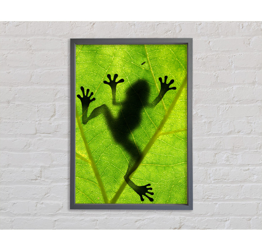 Froschschatten - Einzelner Bilderrahmen Kunstdrucke auf Leinwand