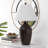 Sharron Carlyn 29.5" Table Lamp