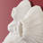 Paleo Barnacle Wall Art-1882632429